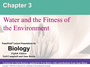 03 Lecture water