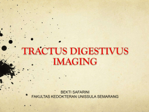 Imej Saluran Pencernaan Presentasi