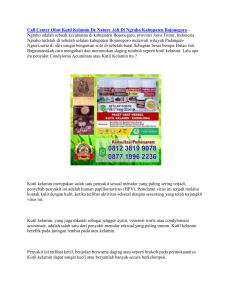 Call Center Obat Kutil Kelamin De Nature Asli Di Ngraho Kabupaten Bojonegoro