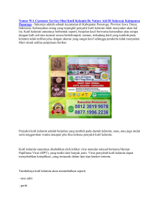 Nomor WA Customer Service Obat Kutil Kelamin De Nature Asli Di Sukorejo Kabupaten Ponorogo