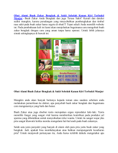 Obat Alami Buah Zakar Bengkak & Sakit Sebelah Kanan Kiri Terbukti Manjur