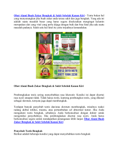 Obat Alami Buah Zakar Bengkak & Sakit Sebelah Kanan Kiri