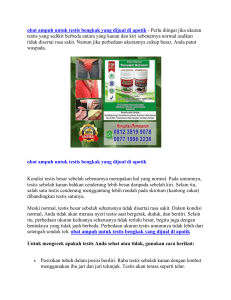 obat ampuh untuk testis bengkak yang dijual di apotik