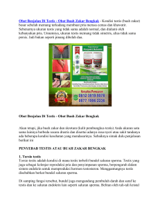 Obat Benjolan Di Testis - Obat Buah Zakar Bengkak