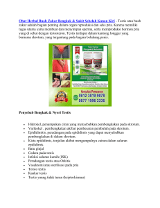 Obat Herbal Buah Zakar Bengkak & Sakit Sebelah Kanan Kiri
