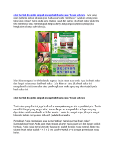 obat herbal di apotik ampuh mengobati buah zakar besar sebelah