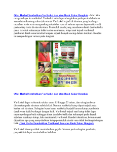 Obat Herbal Sembuhkan Varikokel dan atau Buah Zakar Bengkak