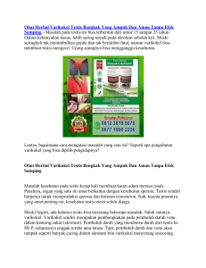 Obat Herbal Varikokel Testis Bengkak Yang Ampuh Dan Aman Tanpa Efek Samping