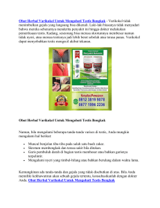 Obat Herbal Varikokel Untuk Mengobati Testis Bengkak