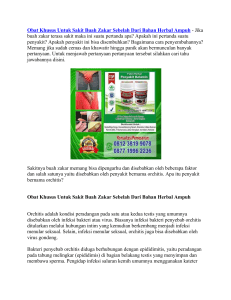 Obat Khusus Untuk Sakit Buah Zakar Sebelah Dari Bahan Herbal Ampuh