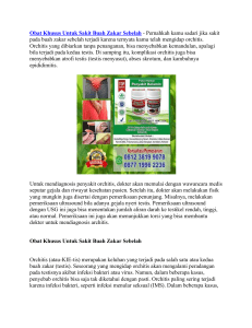 Obat Khusus Untuk Sakit Buah Zakar Sebelah