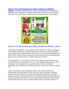 OBAT UNTUK TESTIS BENGKAK SEBELAH KIRI ASLI HERBAL AMPUH