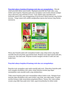 Penyebab adanya benjolan di kantung testis dan cara mengobatinya