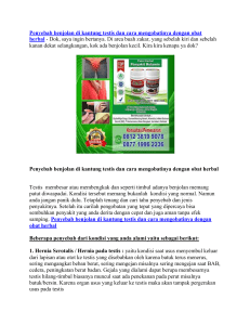 Penyebab benjolan di kantung testis dan cara mengobatinya dengan obat herbal