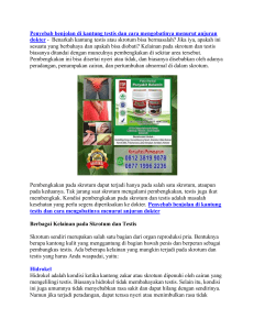 Penyebab benjolan di kantung testis dan cara mengobatinya menurut anjuran dokter