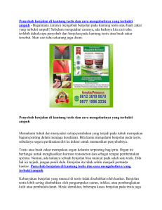 Penyebab benjolan di kantung testis dan cara mengobatinya yang terbukti ampuh