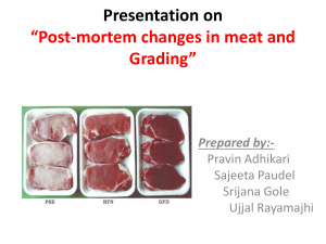 Meat grading presentation paper