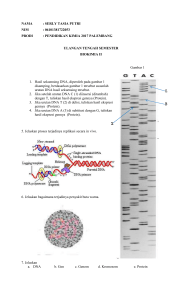 UTS BIOKIMIA 2 SERLY TASIA PUTRI 06101381722053