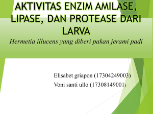AKTIVITAS ENZIM AMILASE, LIPASE, DAN PROTEASE-1