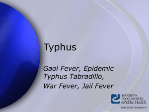 TyphusFever