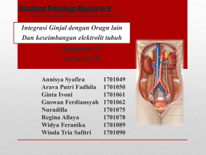 Anatomi Fisiologi Manusia II ginjal