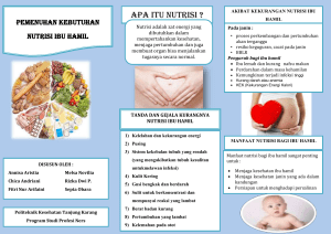 leaflet nutrisi ibu hamil