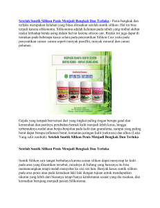 Setelah Suntik Silikon Penis Menjadi Bengkak Dan Terluka