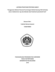 Penggunaan Metode Poisoned Food dengan Ekstrak Bawang Putih terhadap Jamur Colletorichum spp dan Metode Seed Treatment pada Benih Padi 