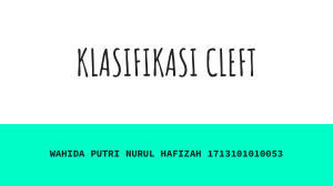 Cleft Lip and Palate Classification 