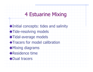 estuary explanation