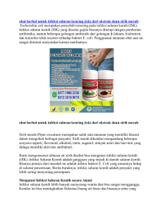 obat herbal untuk infeksi saluran kencing (isk) dari ekstrak daun sirih merah