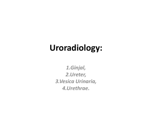 51046 dr ali Uroradiology