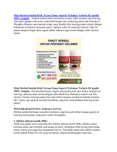 Obat Herbal Setelah BAK Terasa Panas Seperti Terbakar Terlaris Di Apotik 100% Ampuh