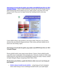 obat buang air kecil sakit di apotik yang sudah resmi BPOM dan HALAL MUI Terbukti Manjur