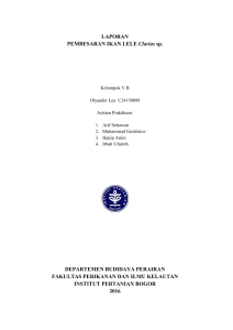 Laporan Pembesaran Ikan Lele Clarias sp.