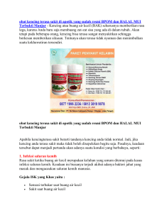 obat kencing terasa sakit di apotik yang sudah resmi BPOM dan HALAL MUI Terbukti Manjur