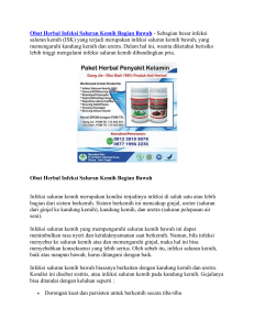 Obat Herbal Infeksi Saluran Kemih Bagian Bawah