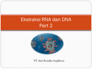 Ekstraksi RNA&DNA 1 (2)