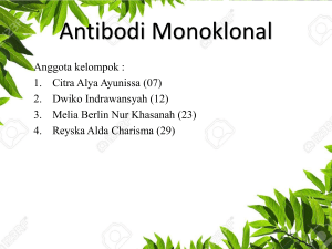 antibodi monoklonal