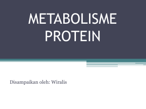 metabolismeprotein5-181021235426