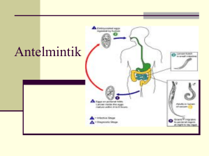 Antelmintics: Drugs and Mechanisms for Worm Treatment