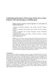 2  Paper Pterocarpus Papaya Briquette