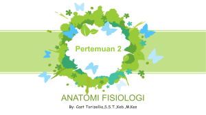 PERTEMUAN 2 (SISTEM INTEGUMEN)
