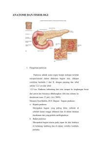 ANATOMI DAN FISIOLOGI PA