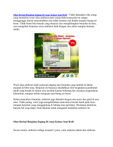 Obat Herbal Benjolan Daging Di Anus Keluar Saat BAB