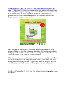 Obat Herbal Manjur Untuk BAB Nyeri Dan Keluar Benjolan Daging Dari Anus Atau Dubur