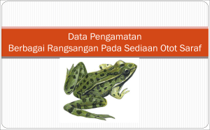 Data Pengamatan Berbagai Rangsangan Pada Sediaan Otot Saraf