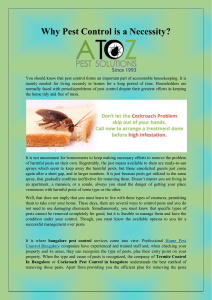 Why Pest Control is a Necessity