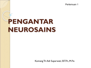 Neuro Pertemuan 1 (Pengantar Neurosains Fisioterapi)
