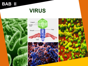 Bab-2-Virus